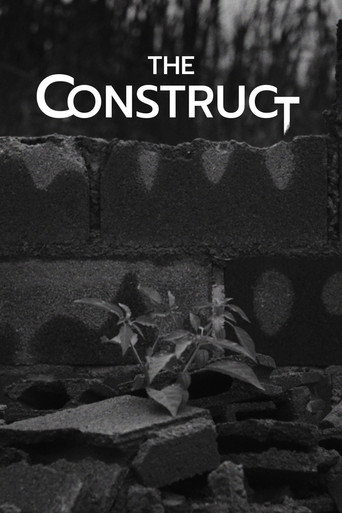 Movie poster for The Construct