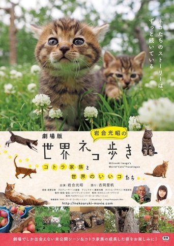 Mitsuaki Iwago's World “Cats” Travelogue poster