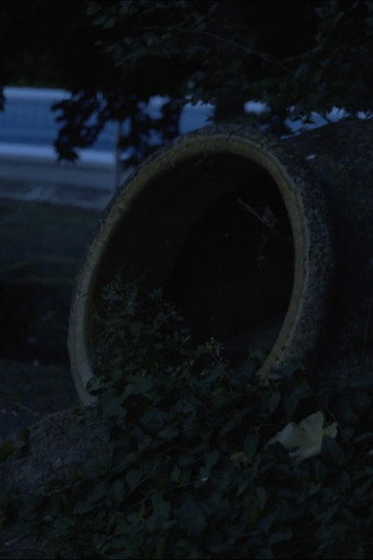 O espírito de Pucho Boedo poster