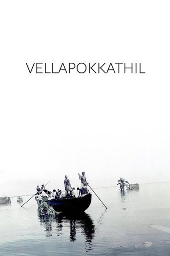 Movie poster for The Deluge (2007)