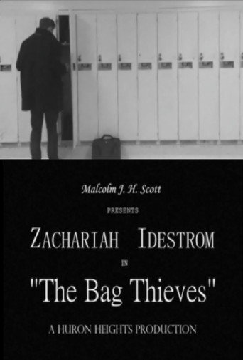 Movie poster for The Bag Thieves (2018)