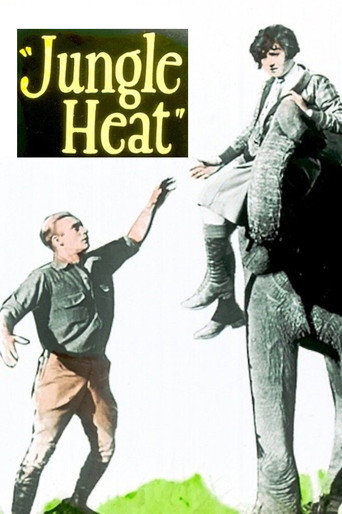 Movie poster for Jungle Heat (1927)