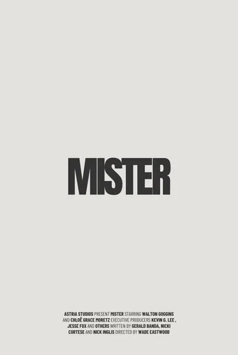 Movie poster for Mister