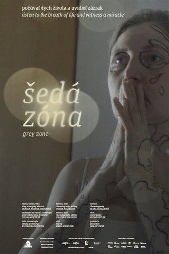 Movie poster for Grey Zone (2024)