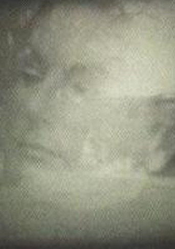 Yo veo conejos poster