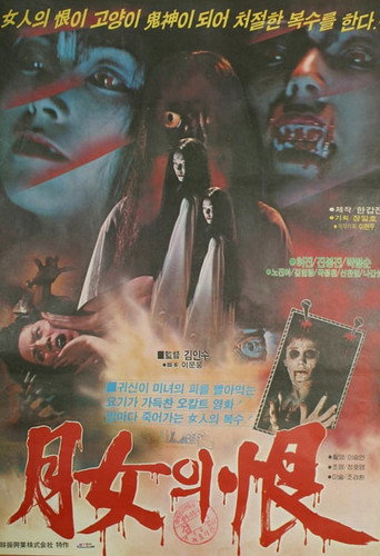 Movie poster for Night Evil Soul (1981)