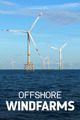 Movie poster for Windparks im Meer - Chance oder Risiko für die Natur? (2024)