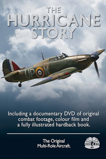 Movie poster for The Hurricane Story (2009)