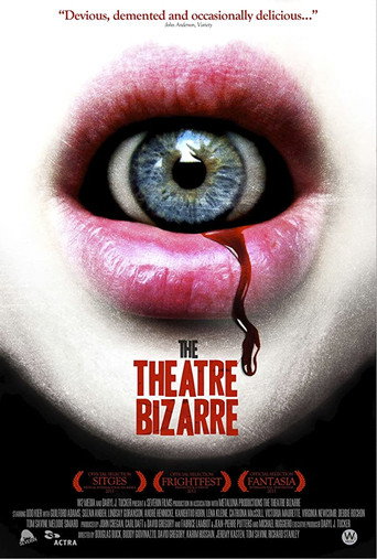 Movie poster for The Theatre Bizarre (2011)