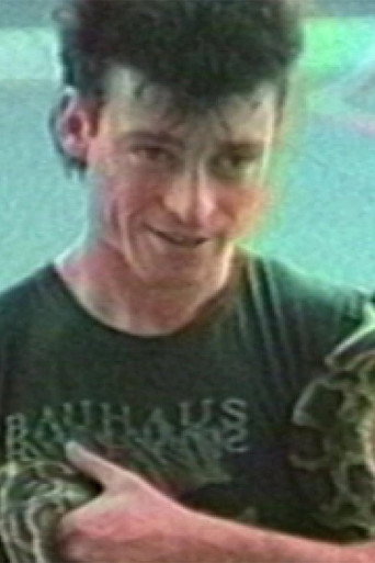 Movie poster for The Hundred Videos #2 (1996)