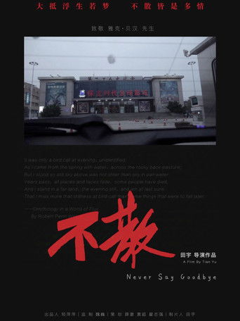 Never Say Goodbye poster