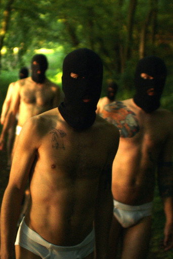 Movie poster for Le Parc: Les prolégomènes d'Haldernablou (2013)