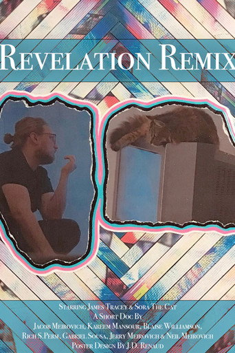 Movie poster for Revelation Remix (2024)