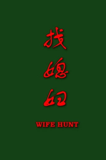 找媳妇 poster