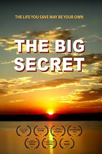Movie poster for The Big Secret (2016)