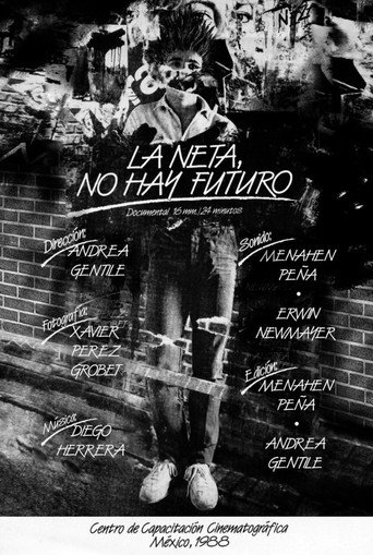 Movie poster for In Fact, There is not Future (1988)