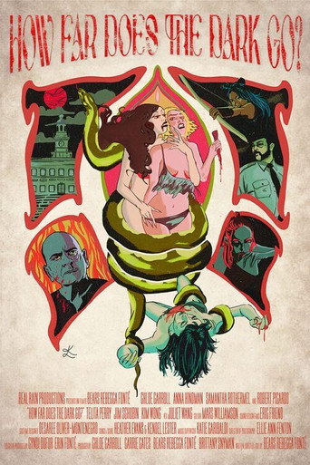 How Far Does the Dark Go? poster