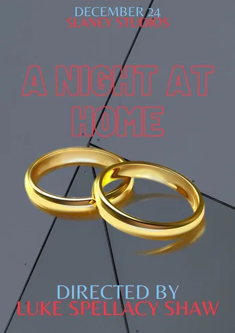 Movie poster for A Night at Home
