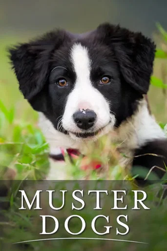 Series poster for Muster Dogs (2022)