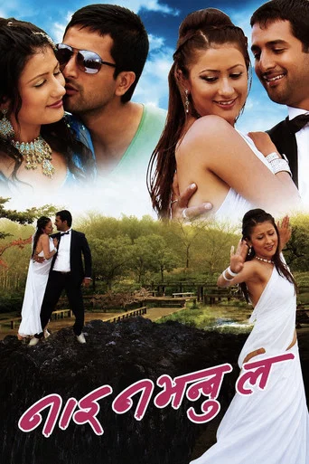 Movie poster for Nai Nabhannu La (2010)