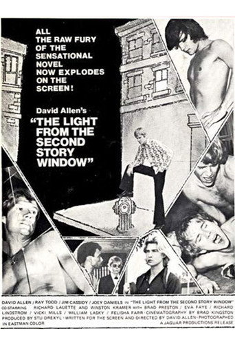 Movie poster for The Light from the Second Story Window (1973)