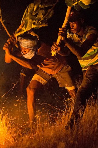 Movie poster for The Fire Brigade (2023)