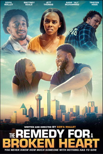 The Remedy for a Broken Heart poster