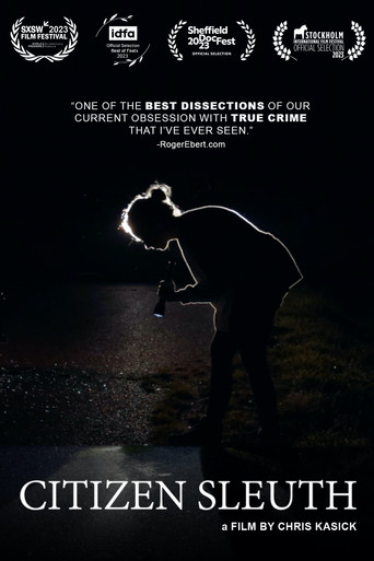 Citizen Sleuth poster