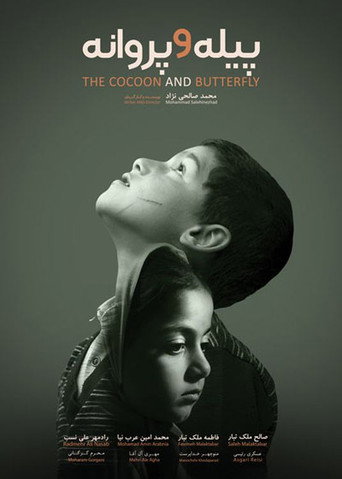 Movie poster for The Cocoon & Butterfly (2020)