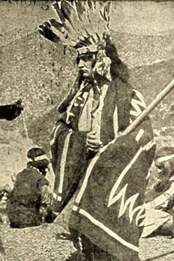 Movie poster for The Indian Brothers (1911)