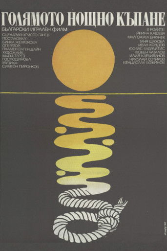 The Big Night Bathe poster