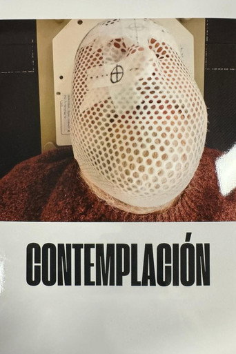 Movie poster for Contemplation (2024)