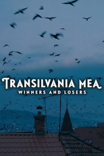 Movie poster for Transilvania Mea - Von Gewinnern und Verlierern (2017)
