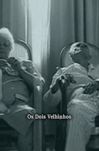 Movie poster for Os Dois Velhinhos (1996)