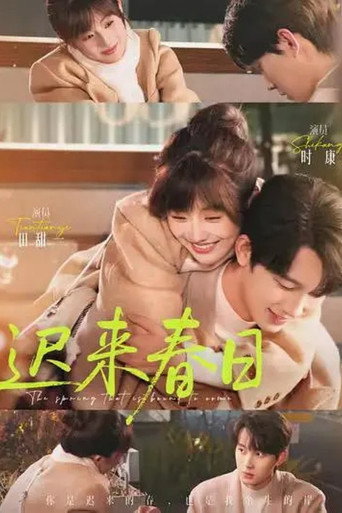 迟来春日 poster
