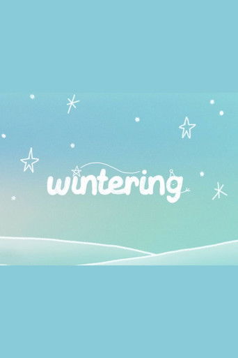 Wintering Vlog ☆ poster