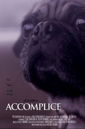 Movie poster for Accomplice (2017)