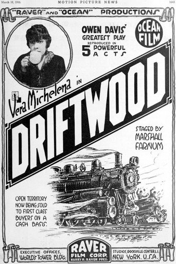 Movie poster for Driftwood (1916)