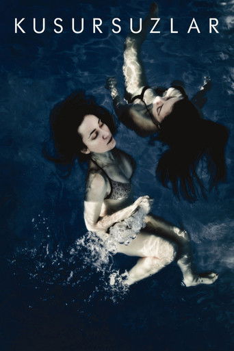 The Impeccables poster