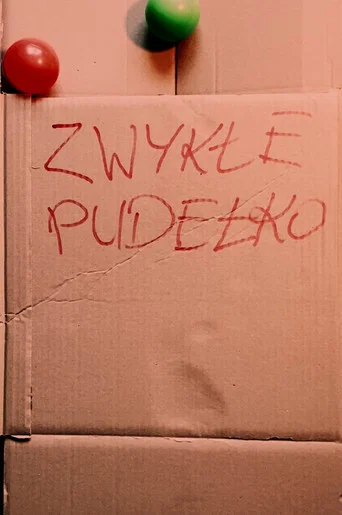 Movie poster for ORDINARY BOX (2026)