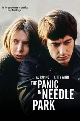Panic on the Streets of New York poster