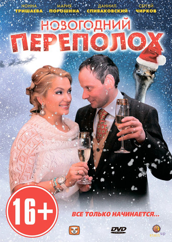 Новогодний переполох poster