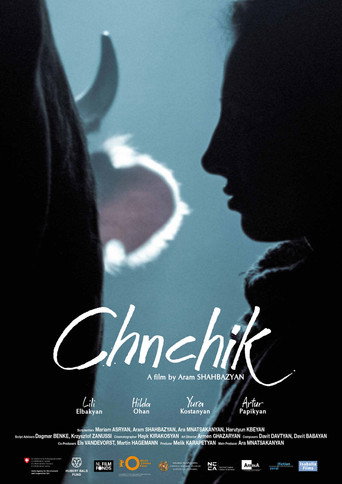 Movie poster for Chnchik (2020)