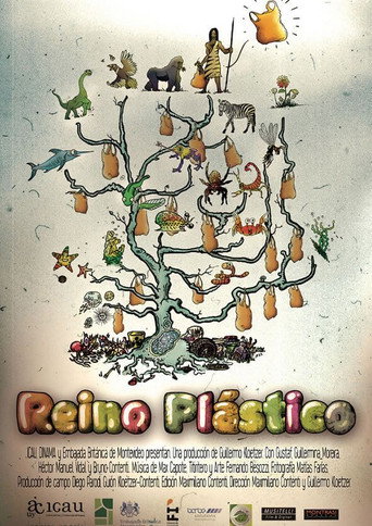 Movie poster for Plastic Kingdom (2011)