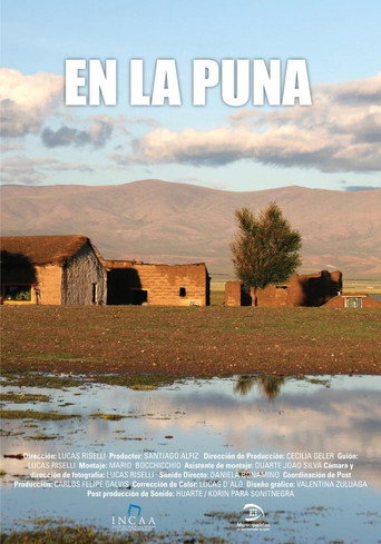 Movie poster for En la Puna (2014)