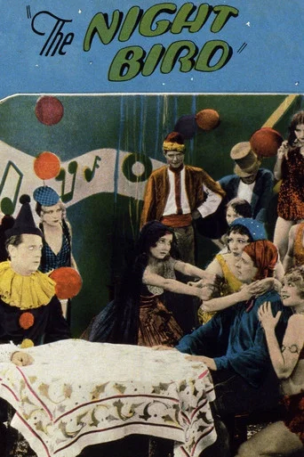 Movie poster for The Night Bird (1928)