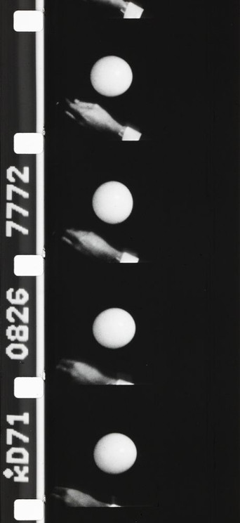 Movie poster for Self-Portrait or What We All Miss (1930)