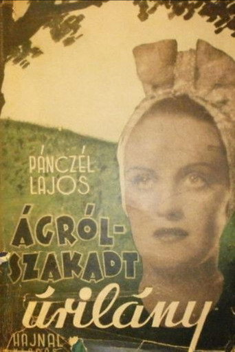 Movie poster for Lady Over the Abyss (1943)