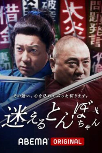 迷えるとんぼちゃん poster