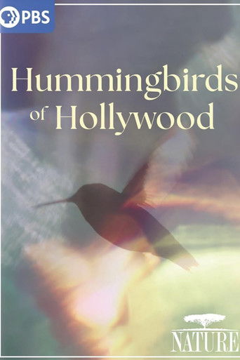 Hummingbirds of Hollywood poster